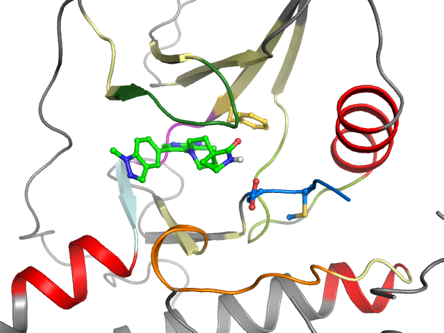 The orthosteric binding pocket