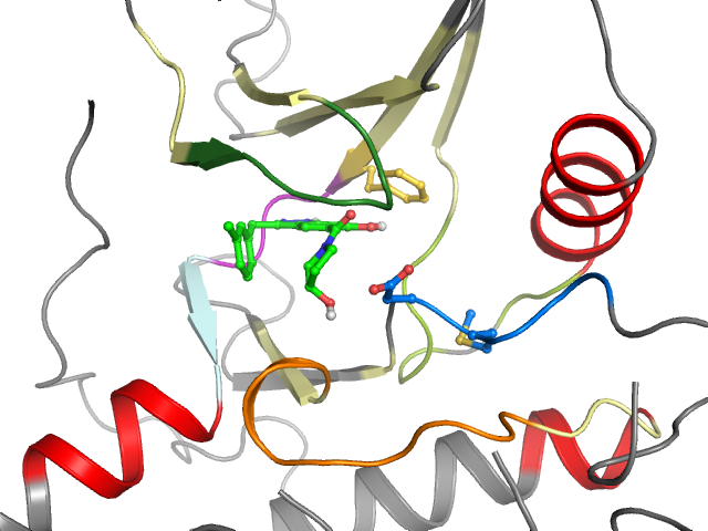 The orthosteric binding pocket