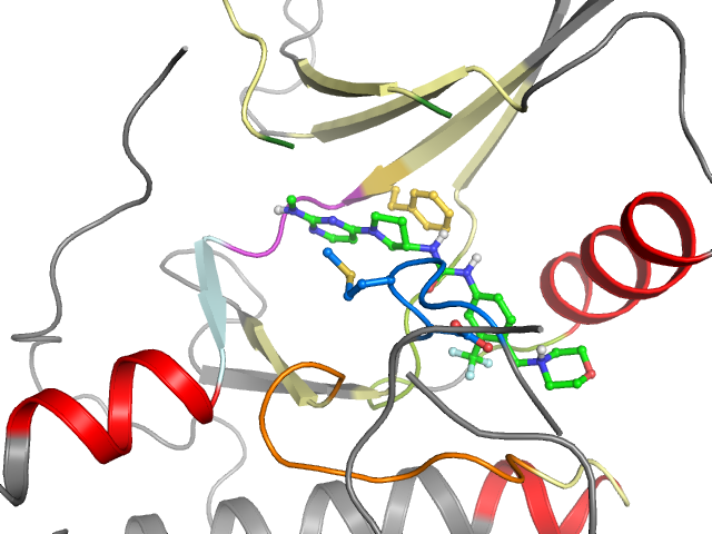 The orthosteric binding pocket