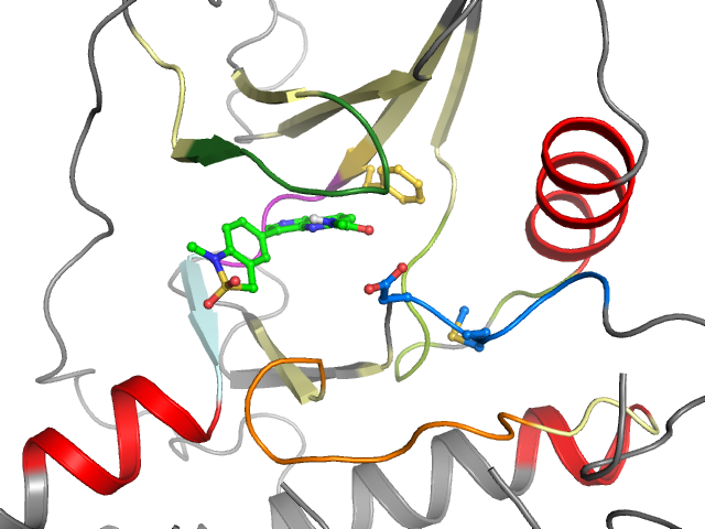 The orthosteric binding pocket