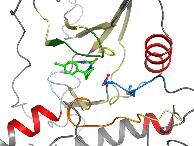The orthosteric binding pocket
