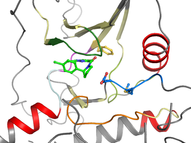 The orthosteric binding pocket