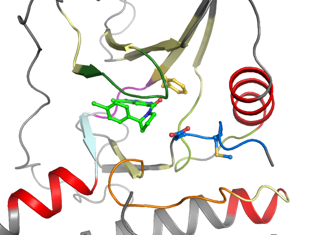 The orthosteric binding pocket