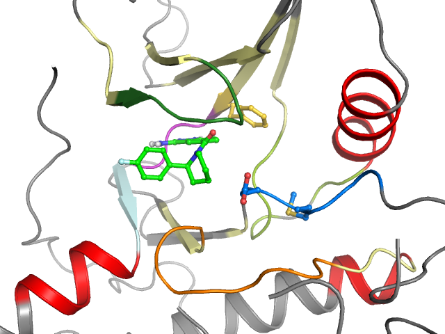 The orthosteric binding pocket