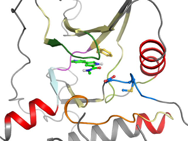 The orthosteric binding pocket