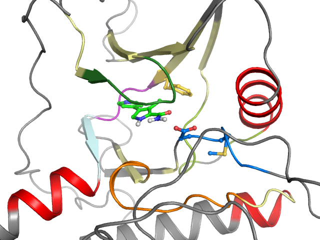 The orthosteric binding pocket