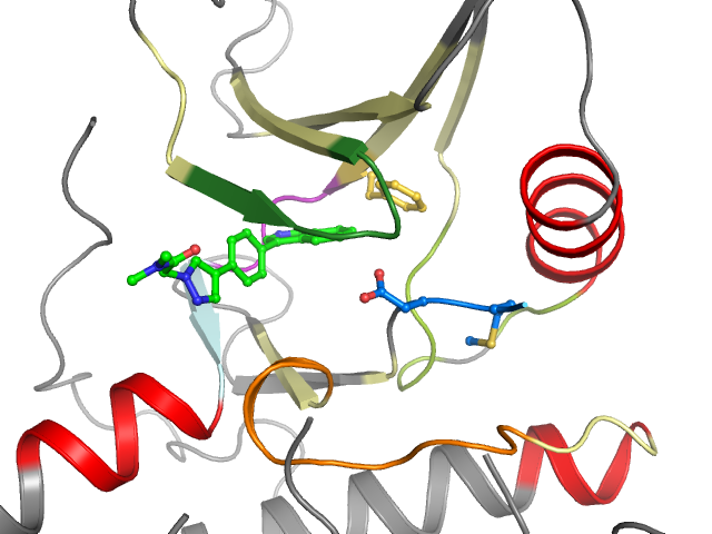 The orthosteric binding pocket