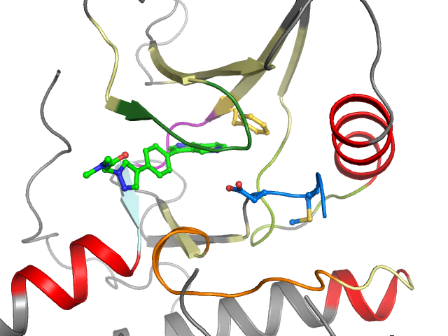 The orthosteric binding pocket