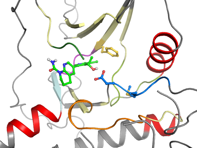The orthosteric binding pocket