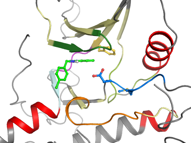 The orthosteric binding pocket