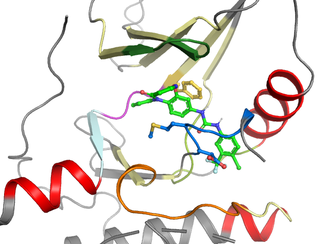 The orthosteric binding pocket