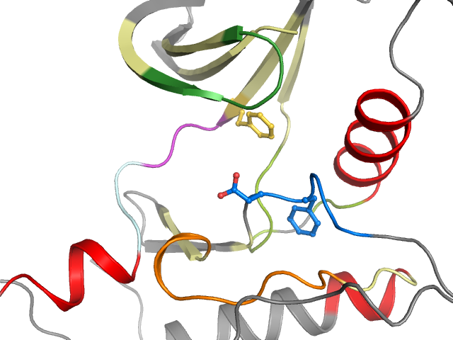 The orthosteric binding pocket