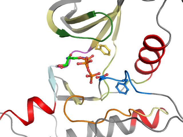 The orthosteric binding pocket