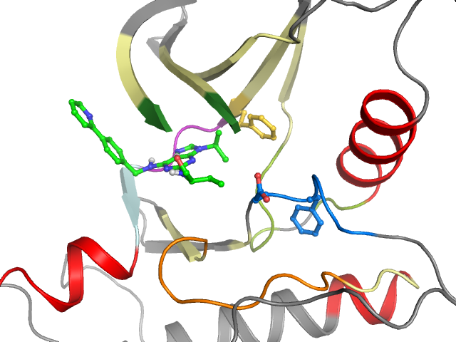 The orthosteric binding pocket