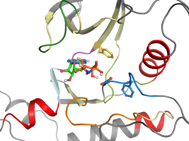 The orthosteric binding pocket