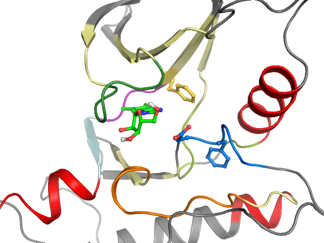 The orthosteric binding pocket