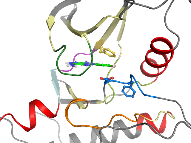 The orthosteric binding pocket