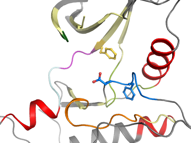 The orthosteric binding pocket