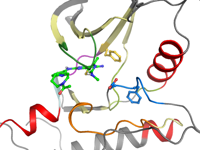 The orthosteric binding pocket