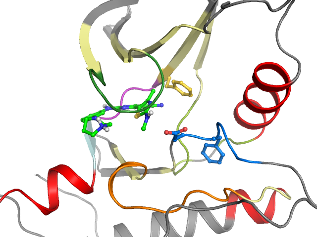 The orthosteric binding pocket