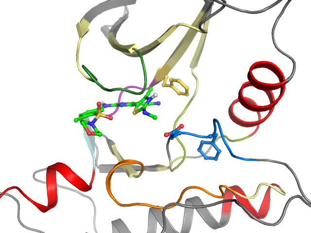 The orthosteric binding pocket