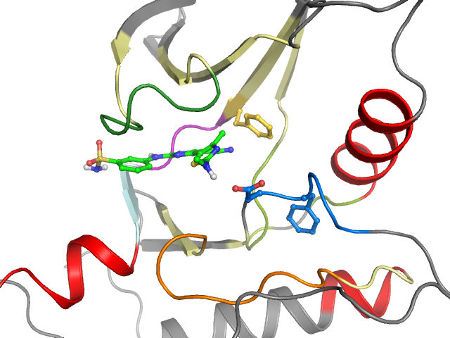 The orthosteric binding pocket