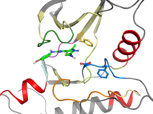 The orthosteric binding pocket