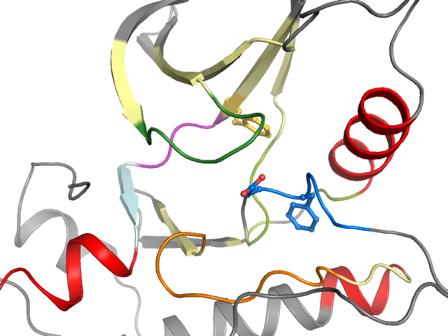 The orthosteric binding pocket