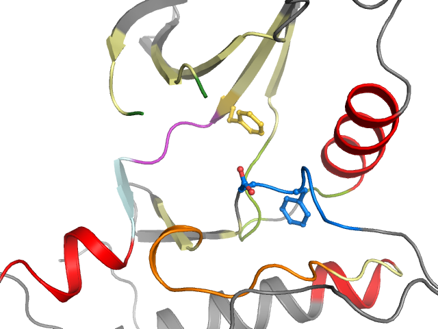 The orthosteric binding pocket