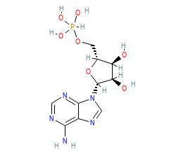 2D structure of the orthosteric ligand