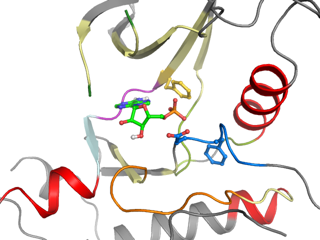 The orthosteric binding pocket