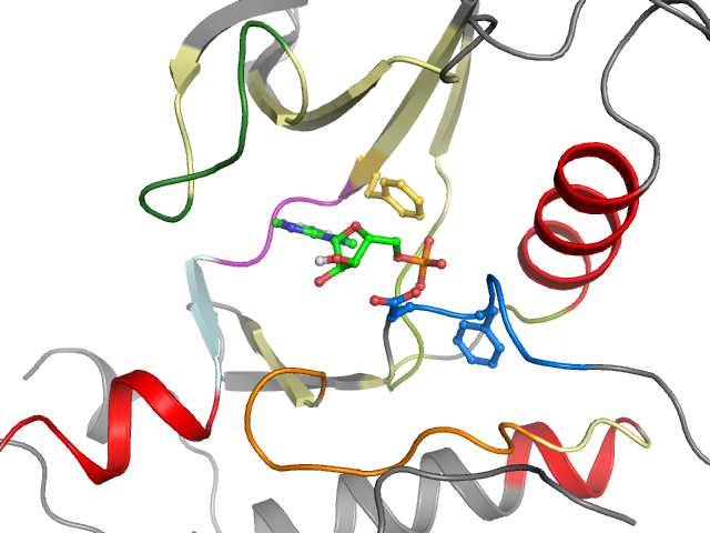 The orthosteric binding pocket