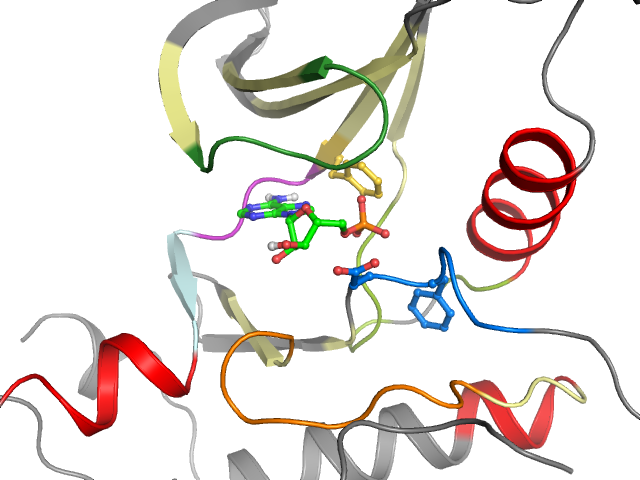 The orthosteric binding pocket