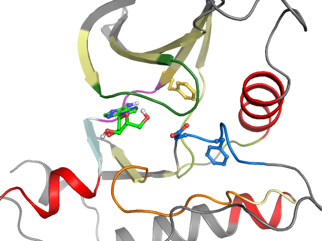 The orthosteric binding pocket