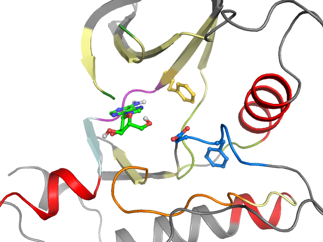 The orthosteric binding pocket
