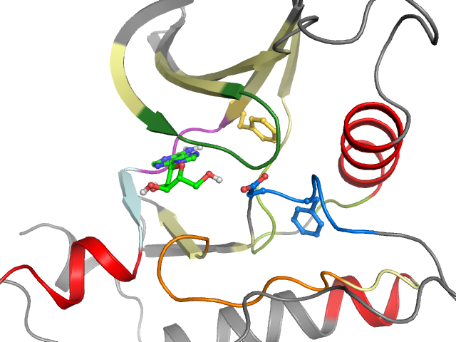 The orthosteric binding pocket