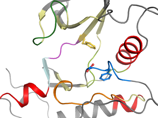 The orthosteric binding pocket