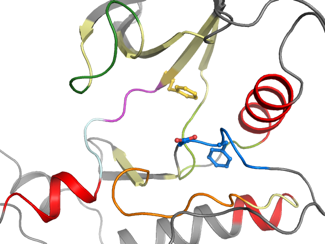 The orthosteric binding pocket