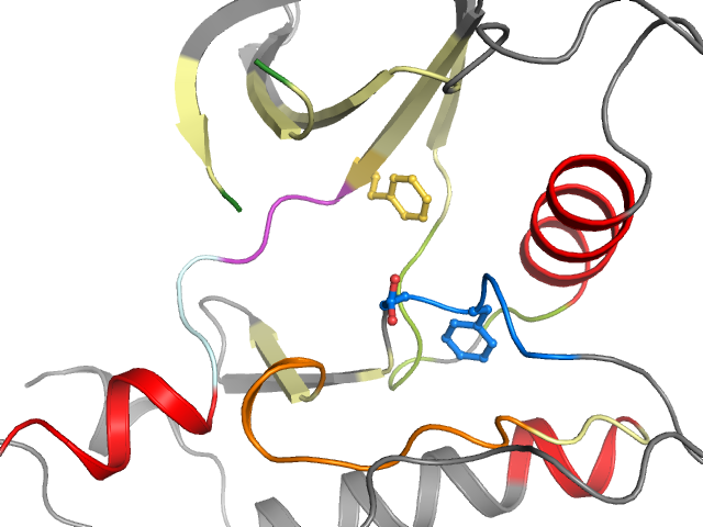 The orthosteric binding pocket