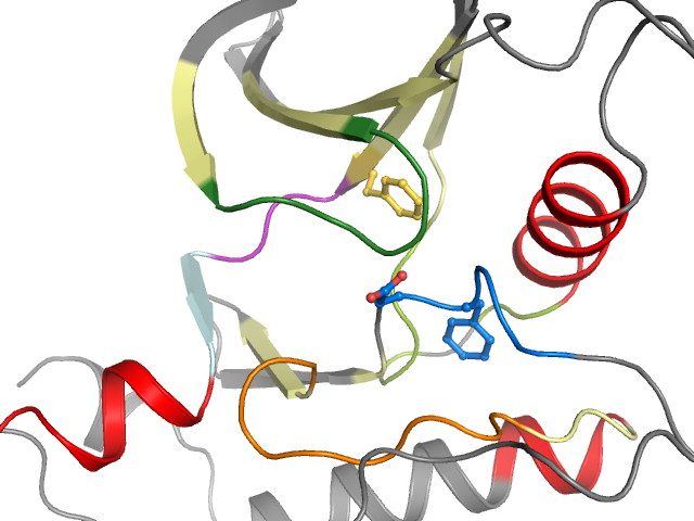 The orthosteric binding pocket