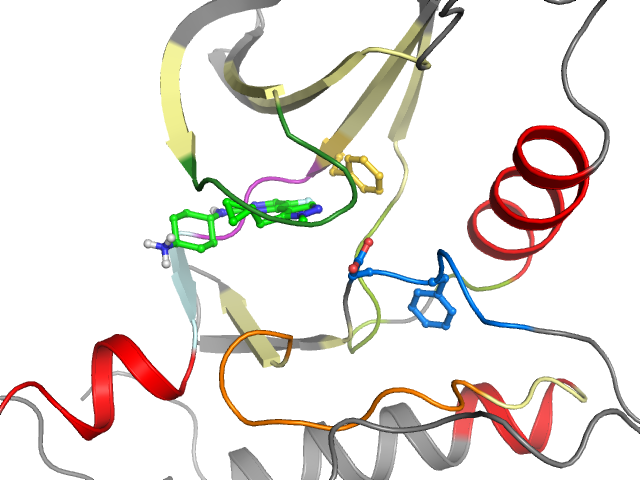 The orthosteric binding pocket