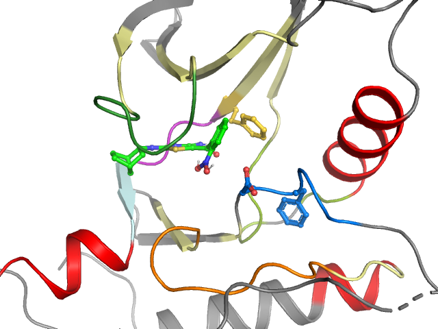 The orthosteric binding pocket