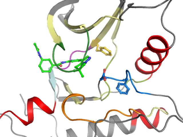 The orthosteric binding pocket