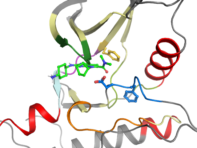 The orthosteric binding pocket