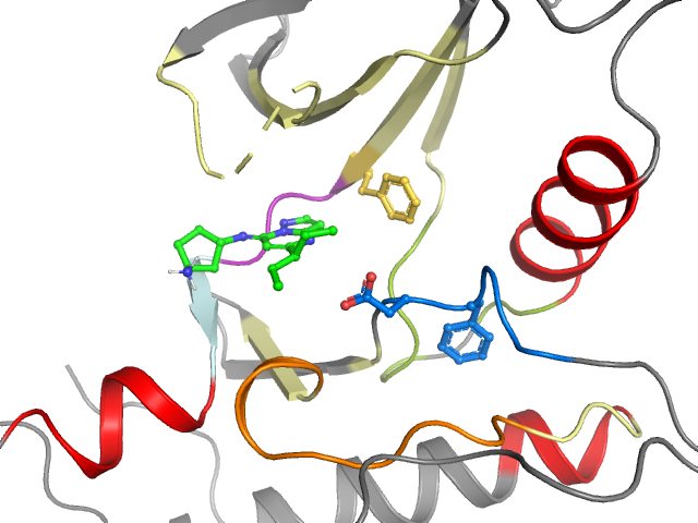 The orthosteric binding pocket