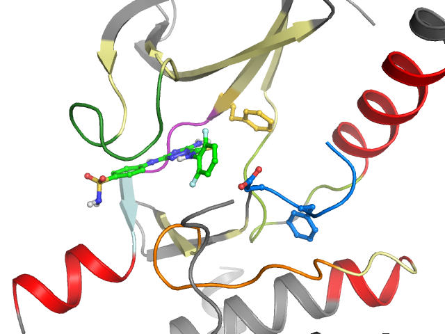 The orthosteric binding pocket