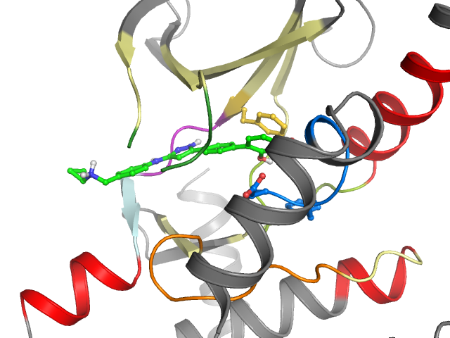 The orthosteric binding pocket