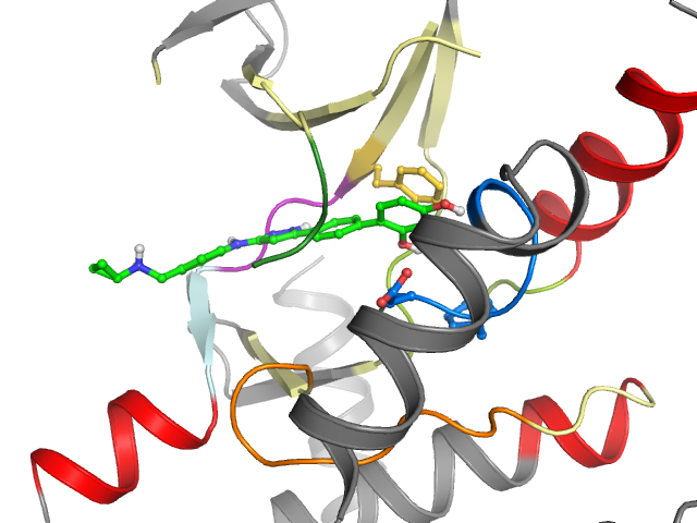 The orthosteric binding pocket