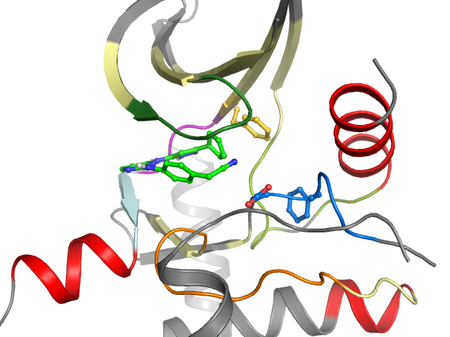 The orthosteric binding pocket