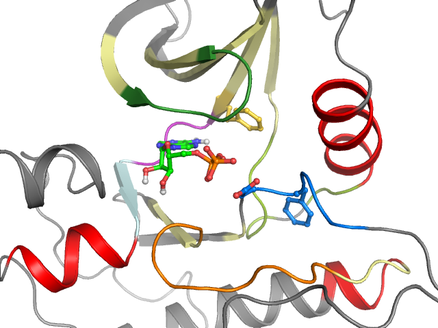 The orthosteric binding pocket